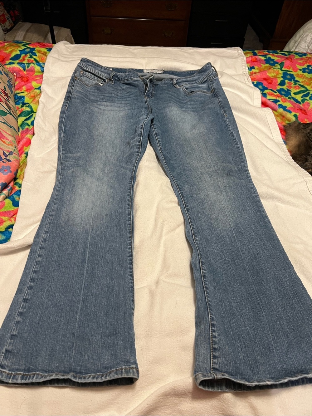 torrid Light Blue Flare Jeans